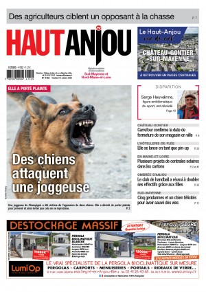 Des chiens attaquent une joggeuse