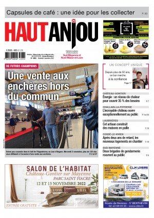 Une vente aux enchères hors du commun