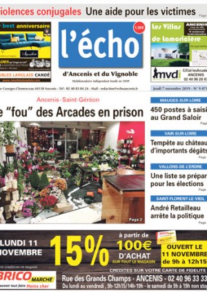 Ancenis : le "fou" des Arcades en prison