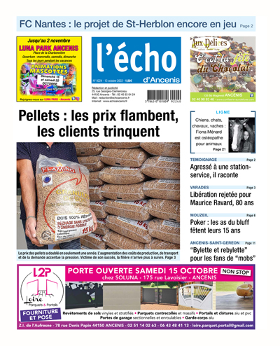 Pellets : les prix flambent, les clients trinquent