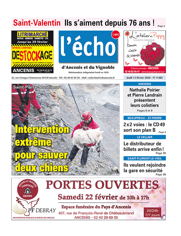 Intervention extrême pour sauver deux chiens