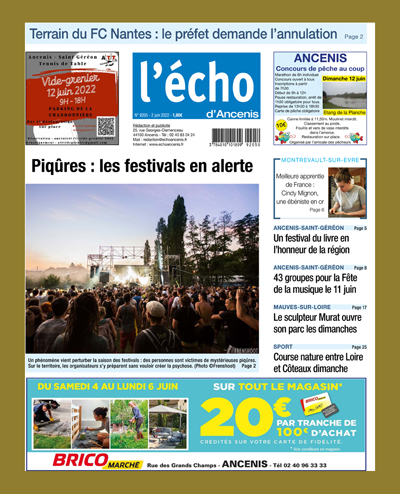 Piqûres : les festivals en alerte