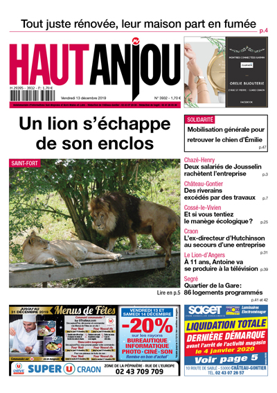 Un lion s’échappe de son enclos