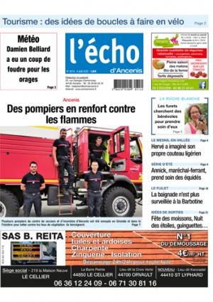 Ancenis : des pompiers en renfort contre les flammes