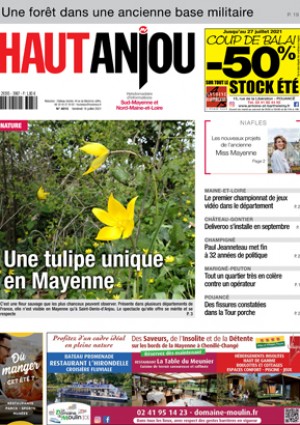 Une tulipe unique en Mayenne