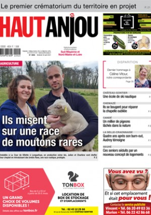 Ils misent sur une race de moutons rares